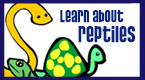 learn about reptiles