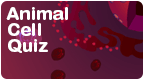 animal cell quiz