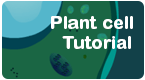 plant cell tutorial