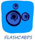 blue flashcards